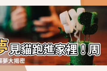 【夢見貓跑進家裡】夢見貓跑進家裡！周公解夢大揭密