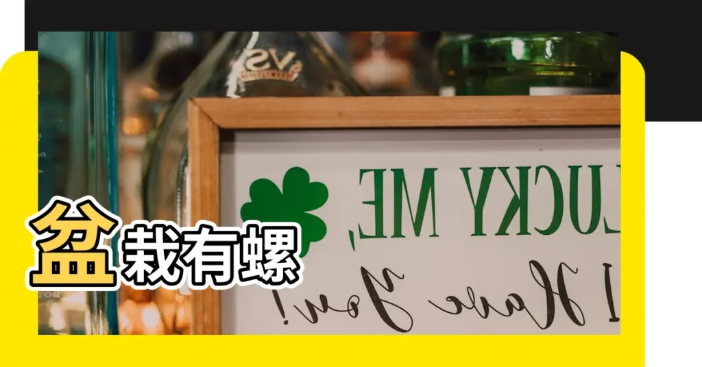 【盆栽有螺】盆栽有螺