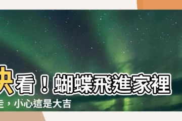 【蝴蝶飛進家裡不走】快看！蝴蝶飛進家裡不走，小心這是大吉兆！