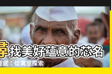 【芯名字】尋找美好藴意的芯名字靈感：從寓意探索到女孩好名推薦
