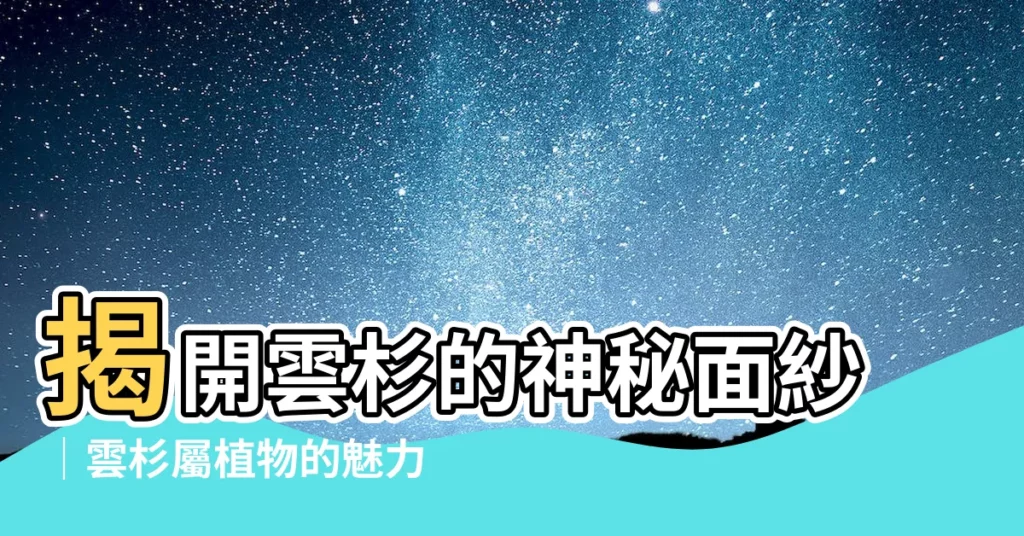 【雲杉】揭開雲杉的神秘面紗｜雲杉屬植物的魅力解析