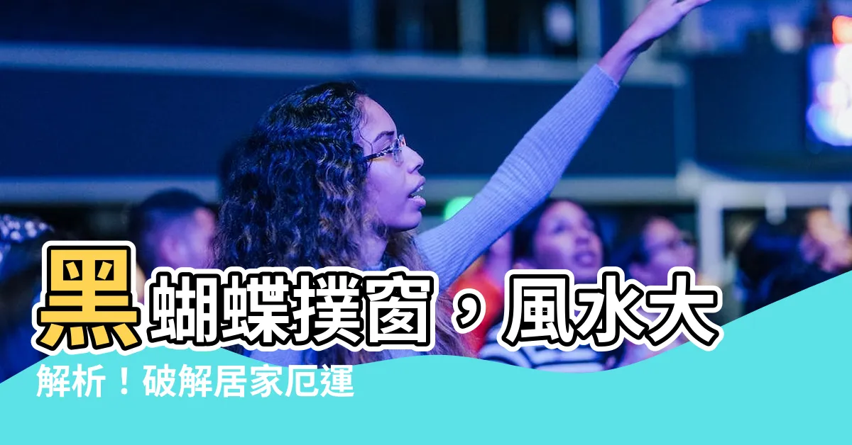 【黑蝴蝶 風水】黑蝴蝶撲窗，風水大解析！破解居家厄運轉好運