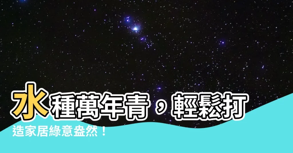 【水種萬年青】水種萬年青，輕鬆打造家居綠意盎然！