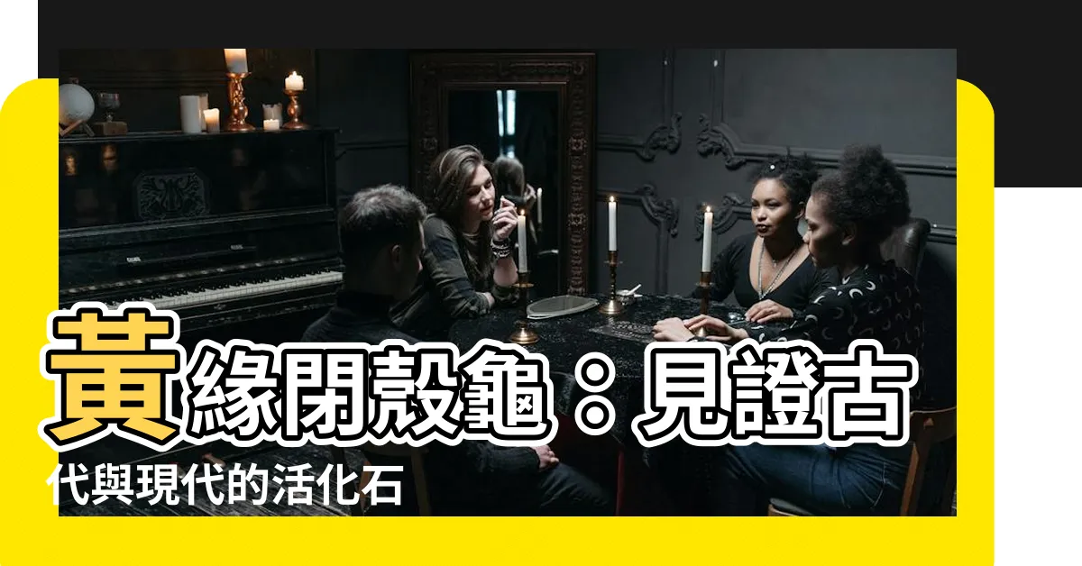 【黃緣閉殼龜】黃緣閉殼龜：見證古代與現代的活化石