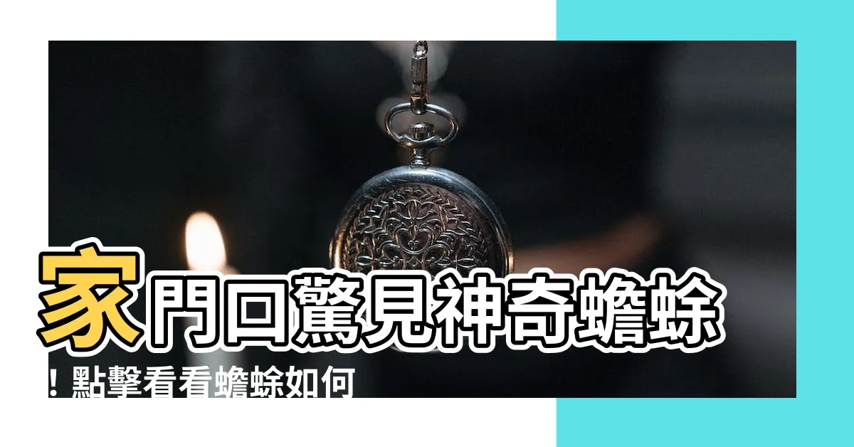【家門口有蟾蜍】家門口驚見神奇蟾蜍！點擊看看蟾蜍如何帶來無窮財運！