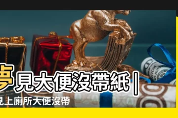 【做夢拉大便沒帶紙】夢見大便沒帶紙 |夢見上廁所大便沒帶紙 |做夢夢見上廁所沒帶紙好不好 |