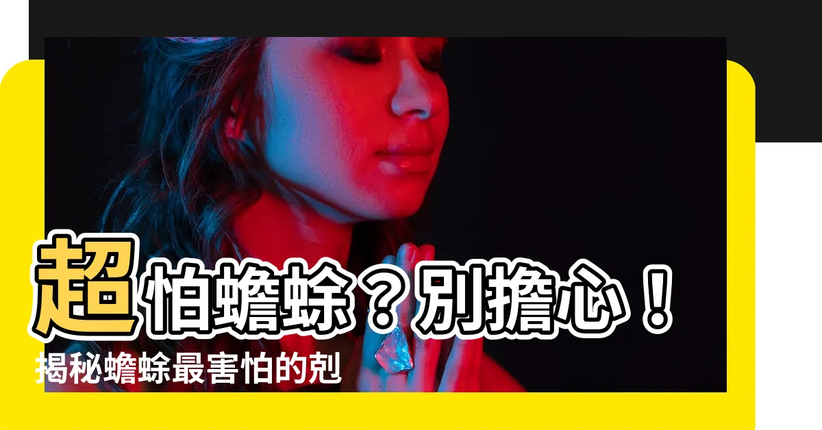 【蟾蜍怕什麼】超怕蟾蜍？別擔心！揭秘蟾蜍最害怕的剋星，讓你家永保安寧！