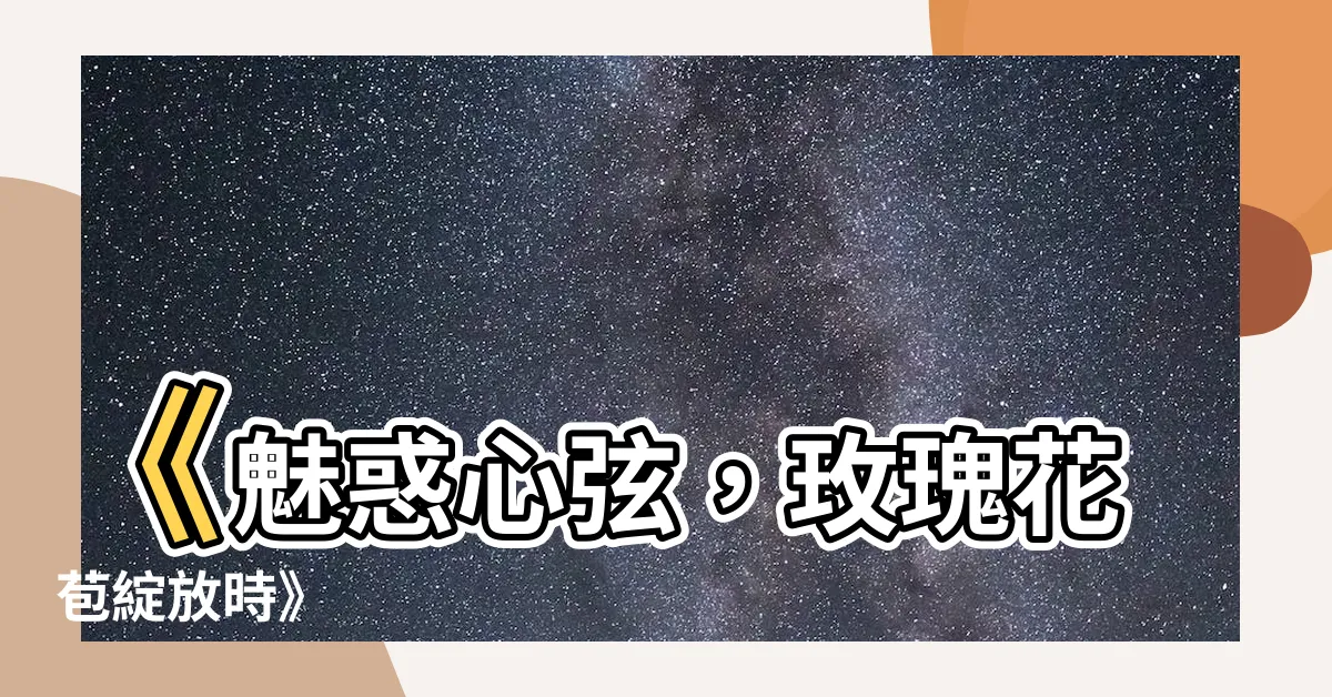 【玫瑰花苞】《魅惑心絃，玫瑰花苞綻放時》
