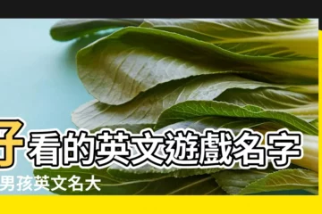 【英文遊戲取名字大全男孩】好看的英文遊戲名字男 |男孩英文名大全丨200個帥氣好聽好寓意的英文名 |好聽的英文遊戲名字男 |