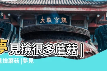 【周公解夢夢見拾磨菇】夢見撿很多蘑菇 |夢見撿蘑菇 |夢見拾蘑菇 |