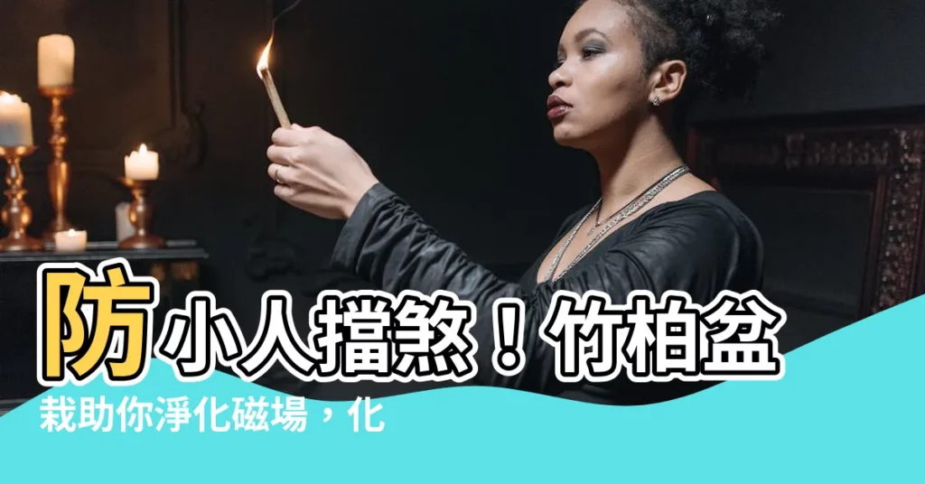 【竹柏避邪】防小人擋煞！竹柏盆栽助你淨化磁場，化煞避邪守好運