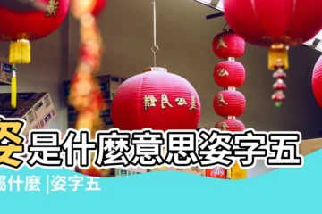 【姿字五行屬性是什麼】姿是什麼意思姿字五行屬什麼 |姿字五行屬什麼 |姿的意思 |