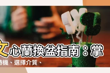 【文心蘭換盆】文心蘭換盆指南：掌握時機、選擇介質、處理根部