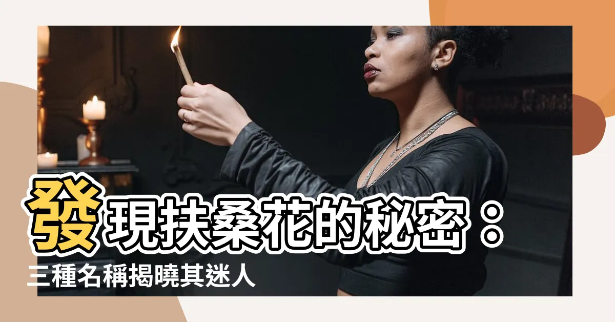 【扶桑花】發現扶桑花的秘密：三種名稱揭曉其迷人之美
