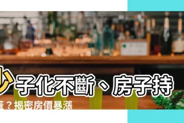 【房子一直蓋】少子化不斷、房子持續蓋？揭密房價暴漲的驚人關鍵