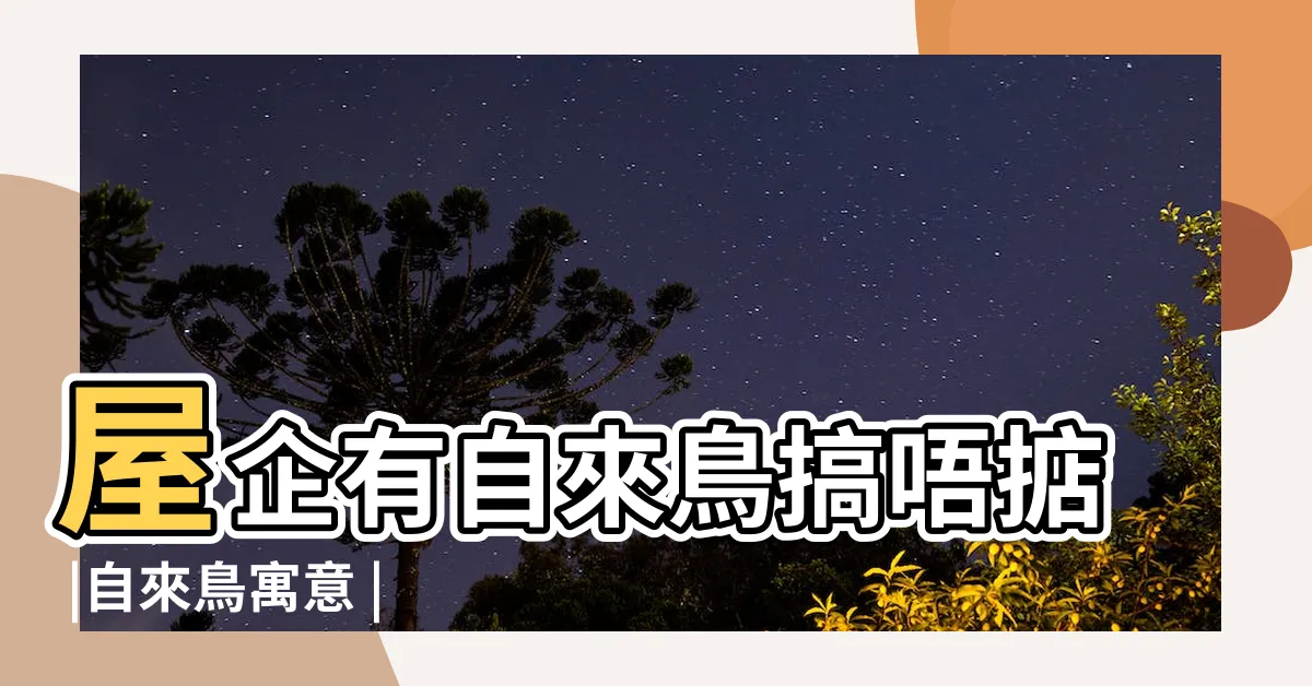 【自來鳥】屋企有自來鳥搞唔掂 |自來鳥寓意 |自來鳥是什麼兆頭 |