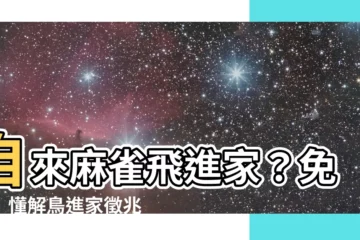 【自來麻雀】自來麻雀飛進家？免驚！懂解鳥進家徵兆，趨吉避兇超easy～