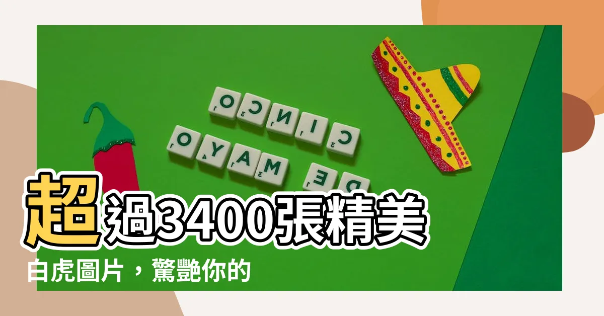 【白虎圖片】超過3400張精美白虎圖片，驚艷你的眼球！