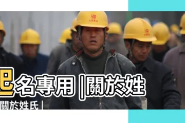 【王作為姓的繁體字筆畫】起名專用 |關於姓氏 |關於姓氏 |