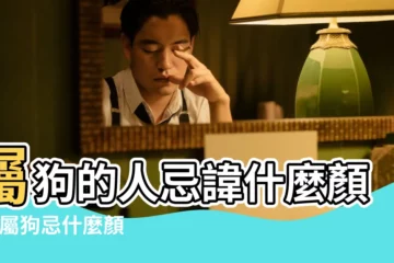 【屬 狗最禁什麼顏色】屬狗的人忌諱什麼顏色 |屬狗忌什麼顏色 |一生旺屬狗的顏色 |