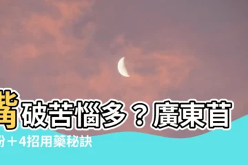 【廣東物藥粉】嘴破苦惱多？廣東苜藥粉＋4招用藥秘訣，消炎止痛預防復發