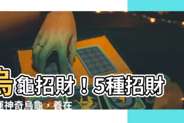 【烏龜 招財】烏龜招財!5種招財轉運神奇烏龜,養在家越養越旺