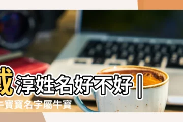 【戴淳名字好聽嗎】戴淳姓名好不好 |屬牛寶寶名字屬牛寶寶取名淳字取名寓意好嗎 |戴言名字含義是什麼戴言取名的寓意戴言起名的意思解析 |