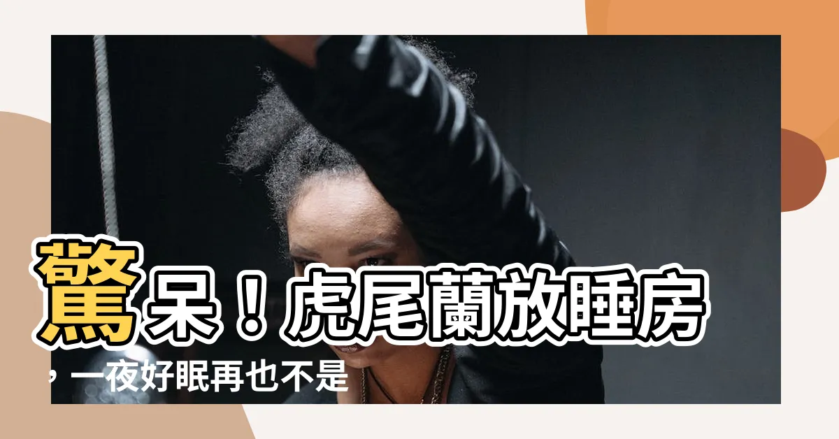 【虎尾蘭放睡房】驚呆！虎尾蘭放睡房，一夜好眠再也不是夢！