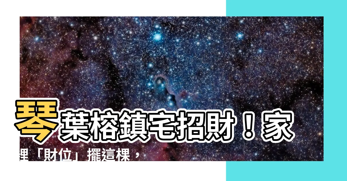 【琴葉榕財位】琴葉榕鎮宅招財！家裡「財位」擺這棵，財神跟著你進門