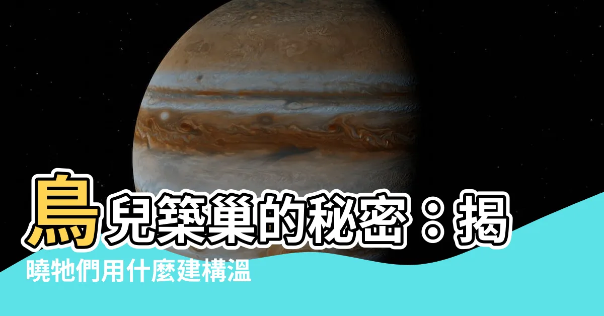 【鳥兒築巢】鳥兒築巢的秘密：揭曉牠們用什麼建構温暖的家