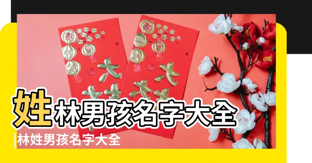 姓林男孩名字大全 |林姓男孩名字大全 |男孩林姓三個字的名字大全 |【男生名字林字的名字大全2015】