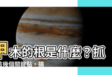 【甲木的根】甲木的根是什麼？抓住這幾個關鍵點，搞懂八字中的甲木之根