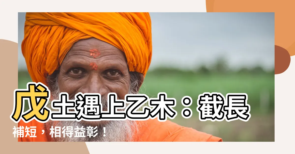 【戊土 乙木】戊土遇上乙木：截長補短，相得益彰！