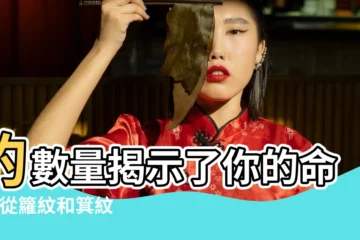 【手相籮箕】的數量揭示了你的命格 |從籮紋和箕紋看性格特徵 |手相兩個蘿八個筲箕是什麼意思 |