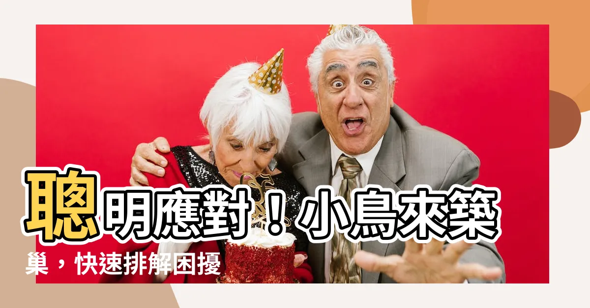 【小鳥 築 巢 怎麼辦】聰明應對！小鳥來築巢，快速排解困擾