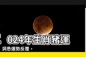 【2024年 豬】2024年生肖豬運勢：洞悉運勢反覆，掌握開運秘訣