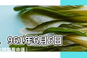 【1961年6月6日16時】1961年6月6日出生時間看命運 |農曆一九六 |1961年6月6日出生的人生辰八字測算 |