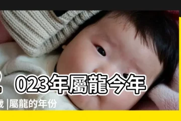 【萬年曆查詢屬龍年份】2023年屬龍今年幾歲 |屬龍的年份龍年是哪幾年 |生肖龍年齡對照表屬龍的年份年齡 |