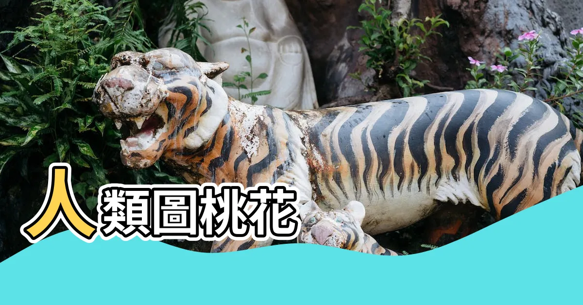 【人類圖桃花】人類圖桃花