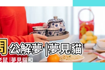 【夢見貓 老鼠 雞】周公解夢 |夢見貓抓老鼠 |夢見貓和雞 |