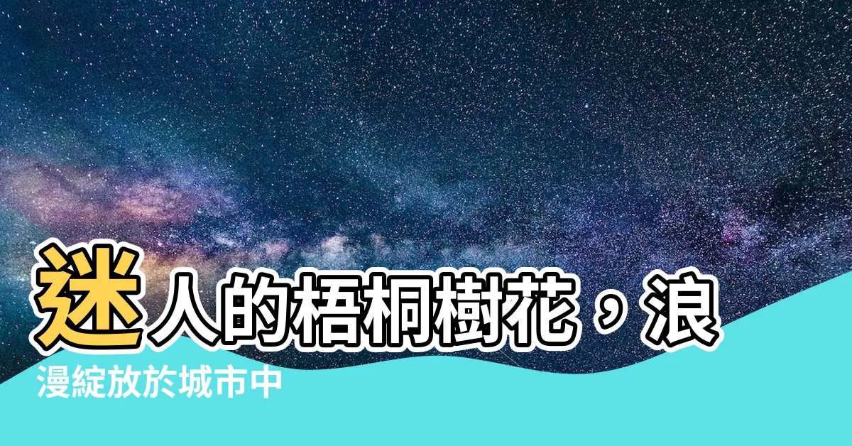 【梧桐樹花】迷人的梧桐樹花，浪漫綻放於城市中