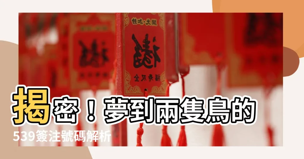 【夢到兩隻鳥號碼】揭密!夢到兩隻鳥的539簽注號碼解析