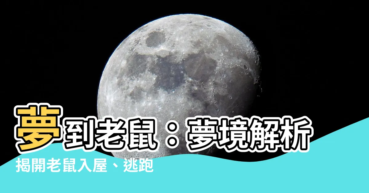 【夢到 老鼠】夢到老鼠：夢境解析揭開老鼠入屋、逃跑的寓意