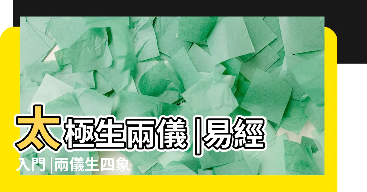 【四相生八卦】太極生兩儀 |易經入門 |兩儀生四象 |