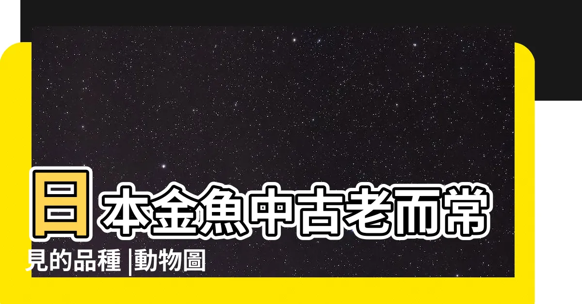 【和金】日本金魚中古老而常見的品種 |動物圖鑑 |