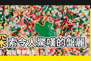 【盤麗魚屬】探索令人驚嘆的盤麗魚屬：從盤麗魚到七彩神仙