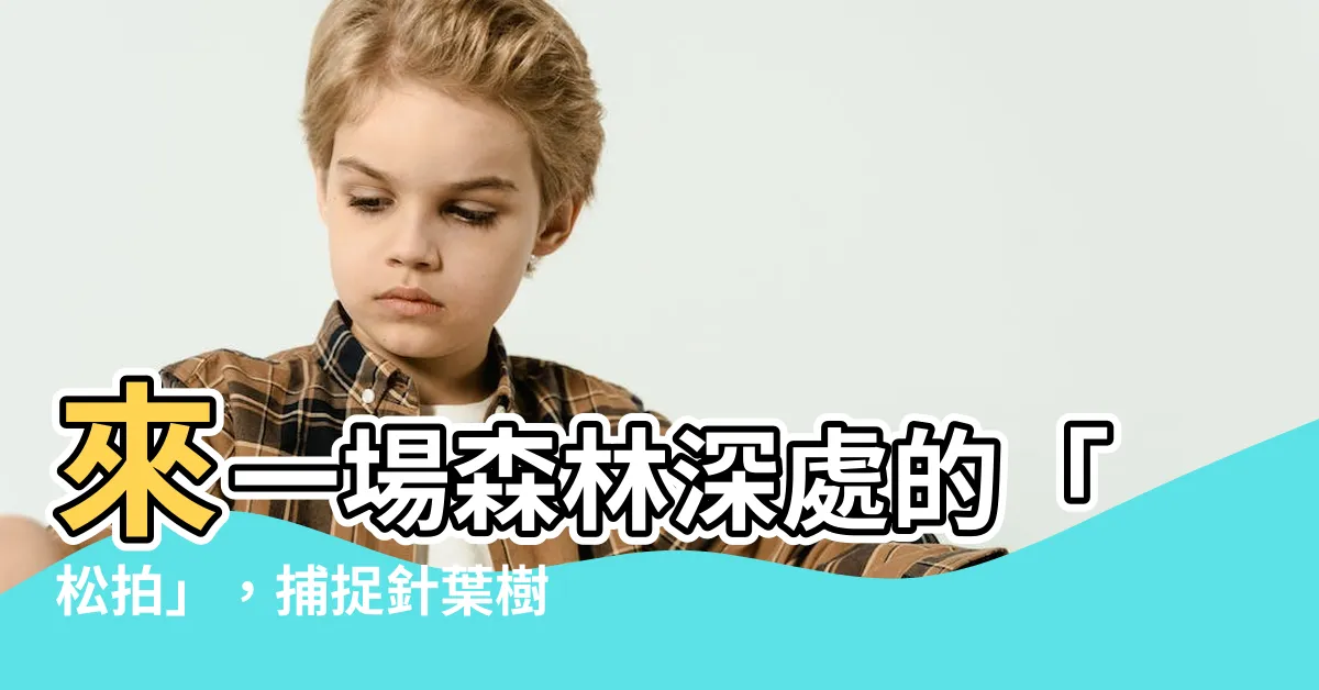 【松拍】來一場森林深處的「松拍」，捕捉針葉樹之美