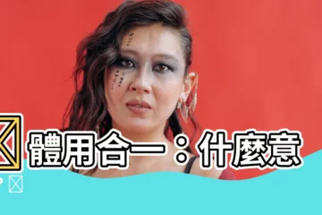 【體用合一】🤔體用合一：什麼意思？🤔