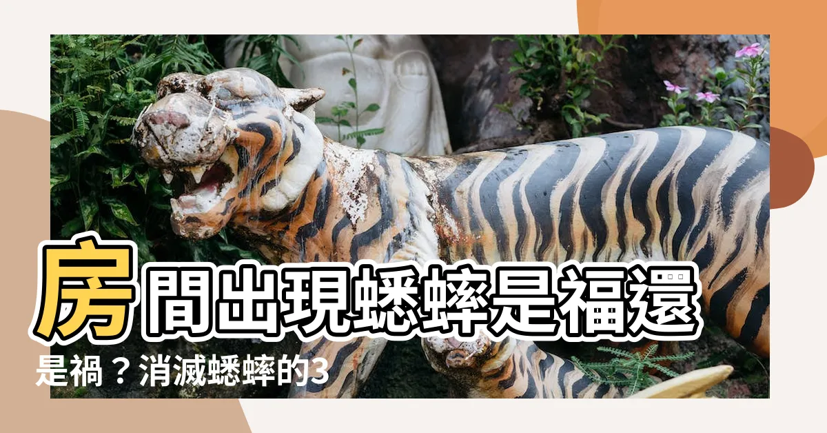【房間有蟋蟀】房間出現蟋蟀是福還是禍？消滅蟋蟀的3大方法