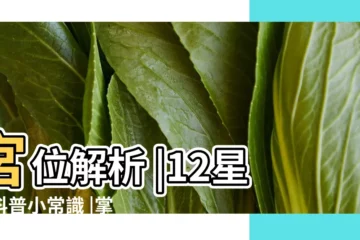【木星飛入九宮】宮位解析 |12星座科普小常識 |掌管天賦的木星在哪裡 |